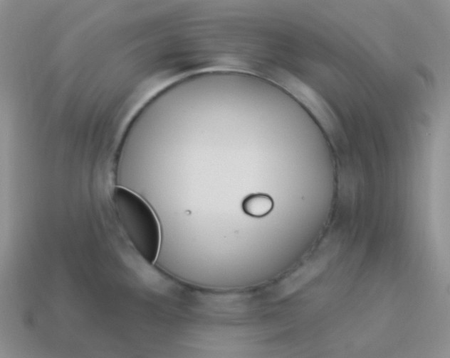 X0000113271292200910081353