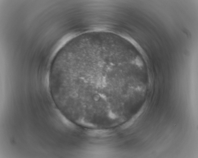 X0000113271294200910081353