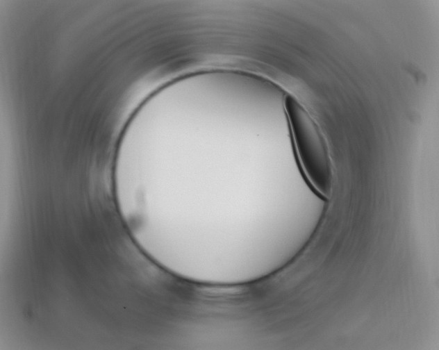 X0000113271296200910081353