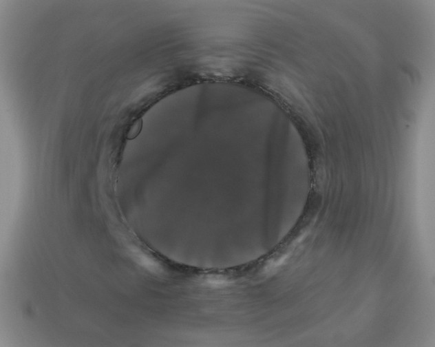 X0000113271297200910081352