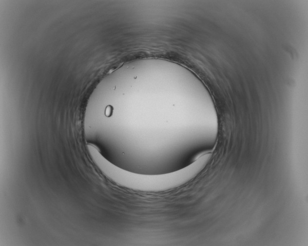 X0000113271298200910081352