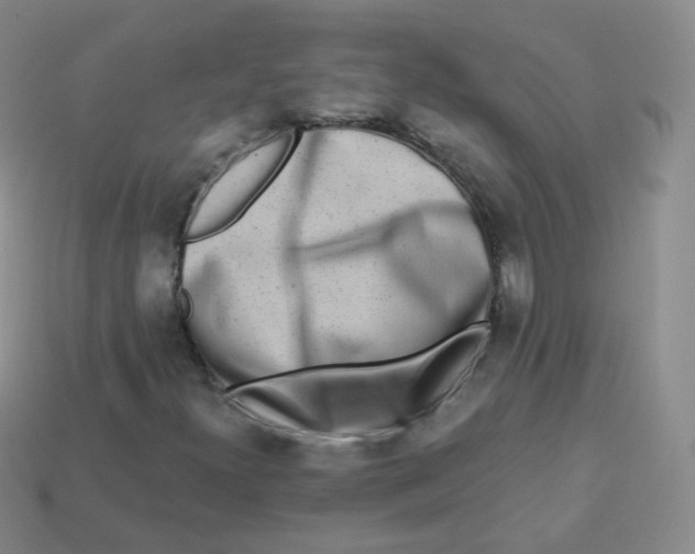 X0000113271300200910081352