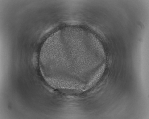 X0000113271301200910081352