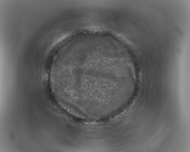 X0000113271302200910081352