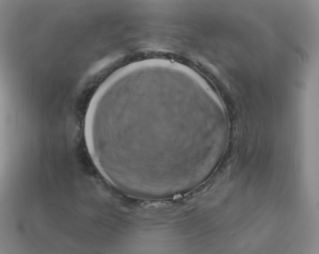 X0000113271303200910081352