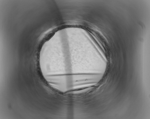 X0000113271304200910081352