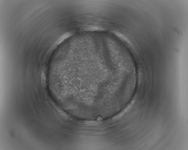 X0000113271305200910081352