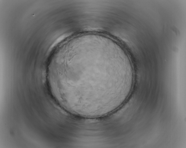 X0000113271306200910081352