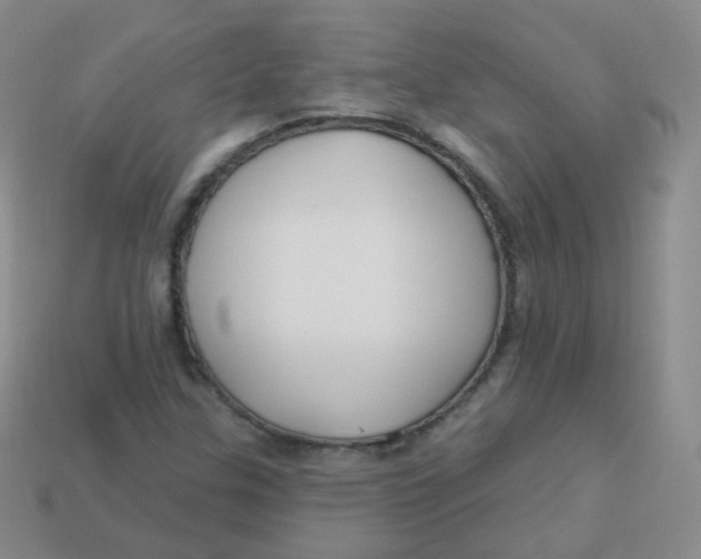 X0000113271307200910081352