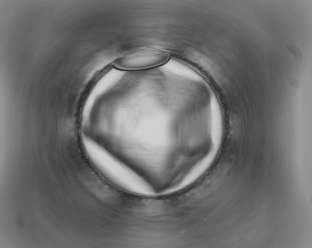 X0000113271308200910081352