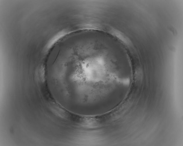 X0000113271310200910081352