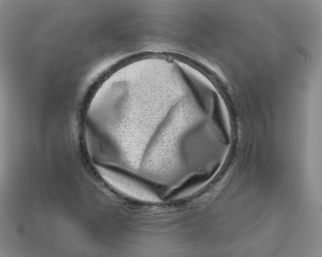 X0000113271311200910081352