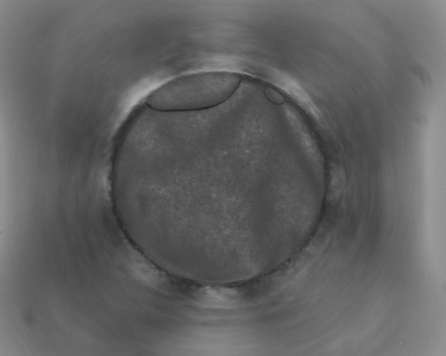 X0000113271312200910081352