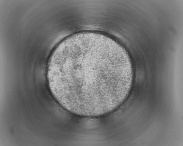 X0000113271314200910081352