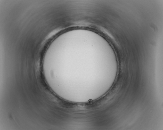 X0000113271315200910081352