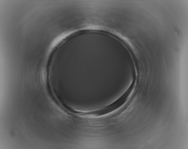 X0000113271319200910081352