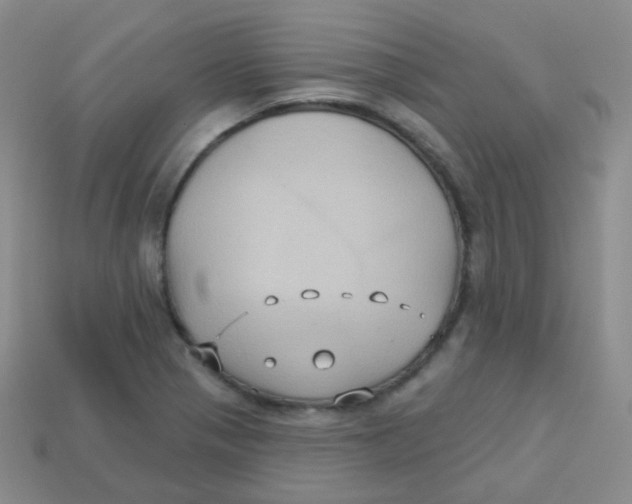 X0000113271321200910081352