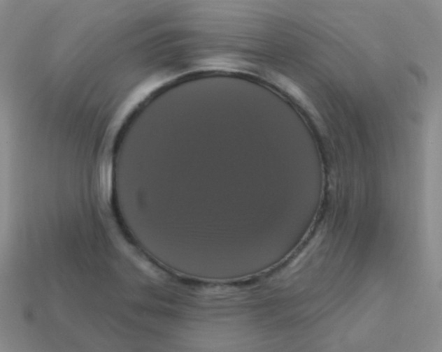 X0000113271323200910081352