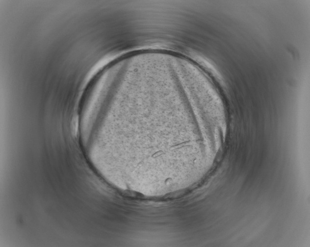 X0000113271324200910081352