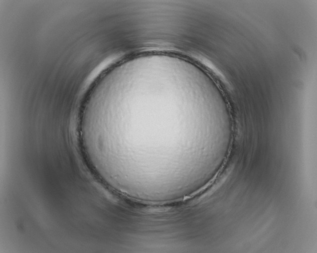 X0000113271325200910081352