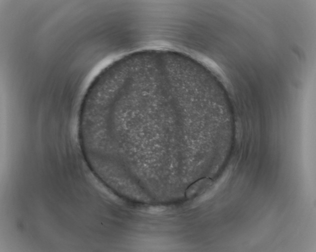 X0000113271326200910081352