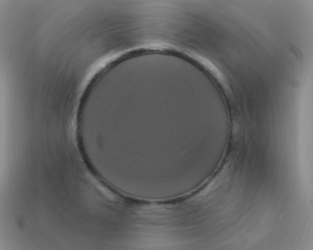 X0000113271327200910081352