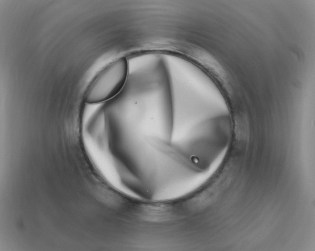 X0000113271328200910081352