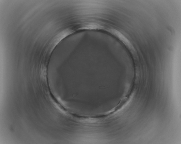 X0000113271329200910081352