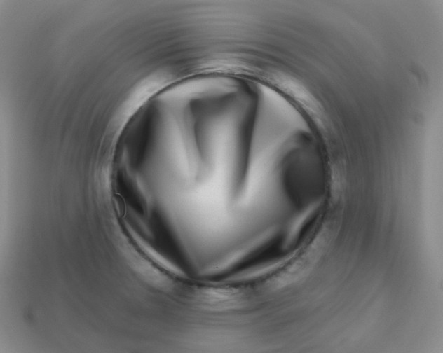 X0000113271330200910081352