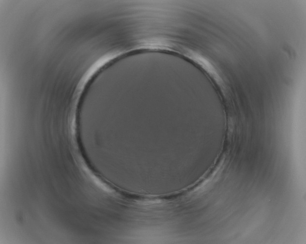 X0000113271331200910081352