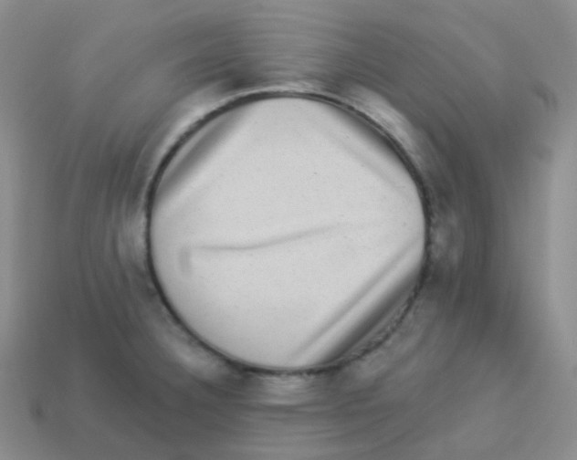 X0000113271332200910081352