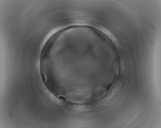 X0000113271334200910081353