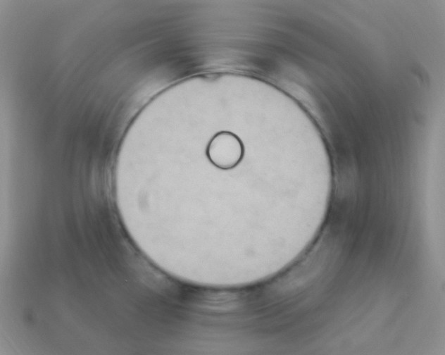 X0000113271338200910081353