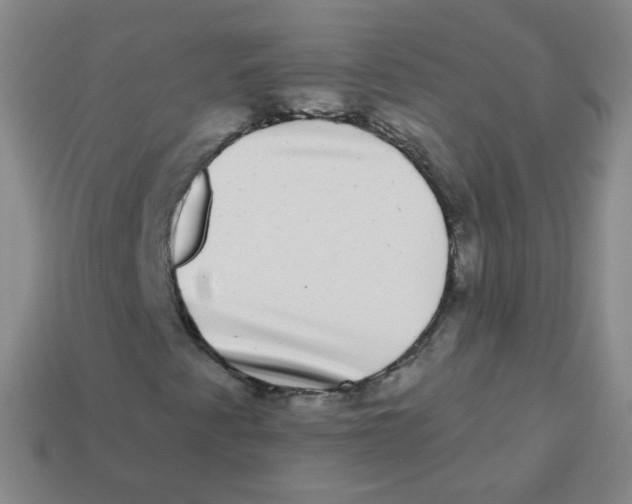 X0000113271345200910081352