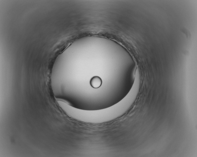 X0000113271349200910081352