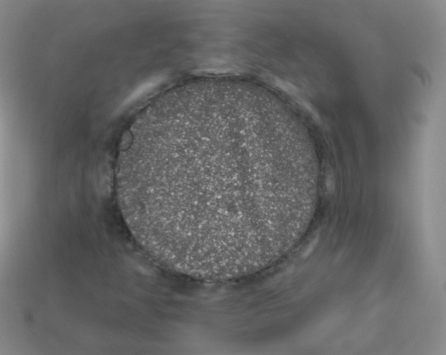 X0000113271350200910081352