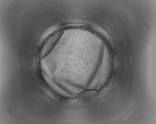 X0000113271352200910081352