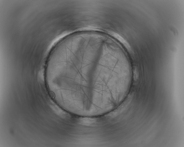 X0000113271356200910081352