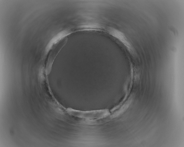 X0000113271357200910081352