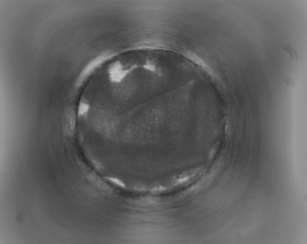 X0000113271358200910081352