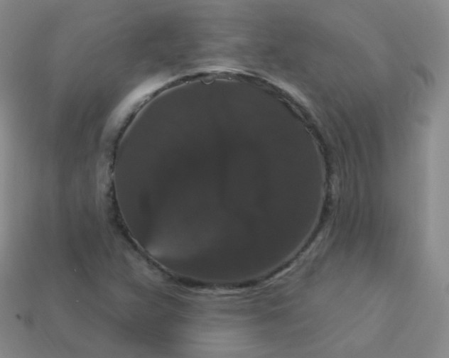 X0000113271359200910081352