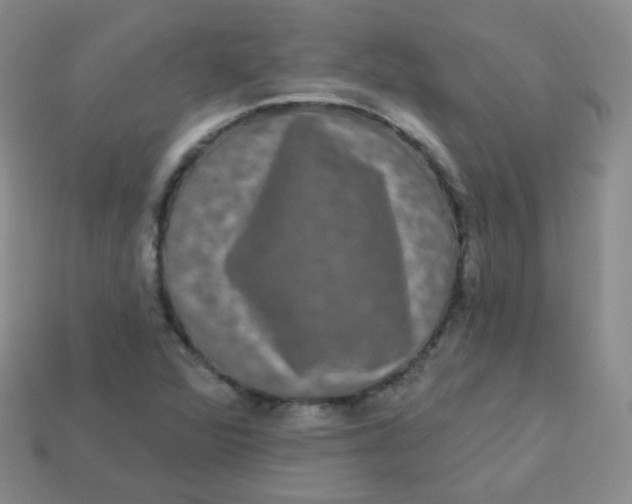 X0000113271360200910081351