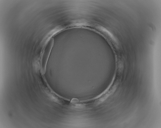 X0000113271361200910081351