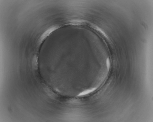 X0000113271362200910081351