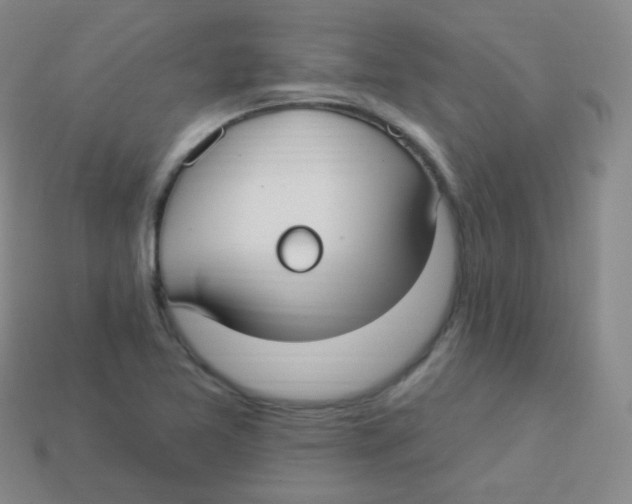 X0000113271365200910081351