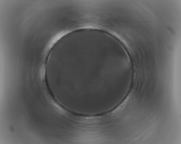 X0000113271367200910081351