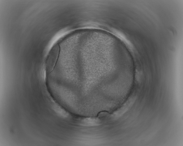 X0000113271368200910081351