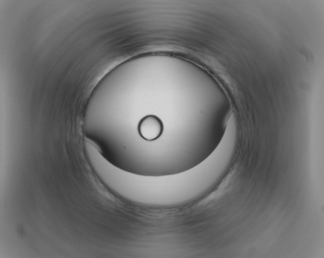 X0000113271369200910081351