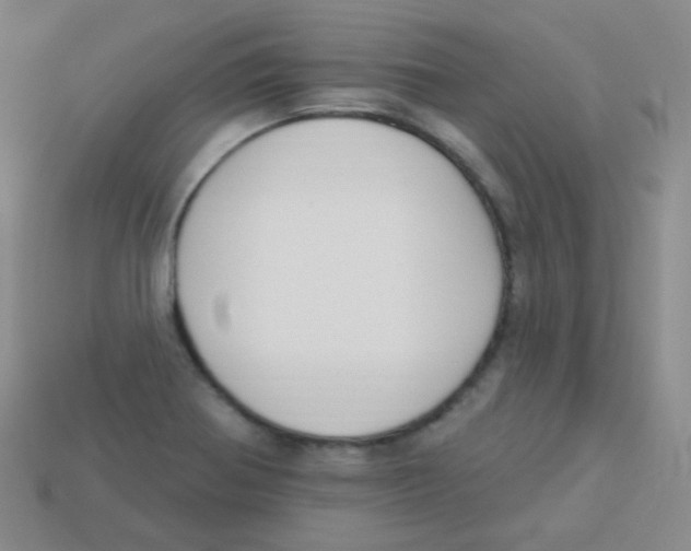 X0000113271370200910081351