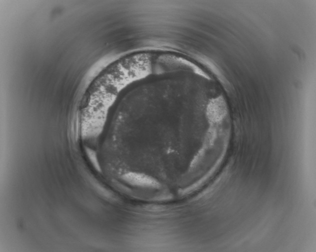 X0000113271371200910081351